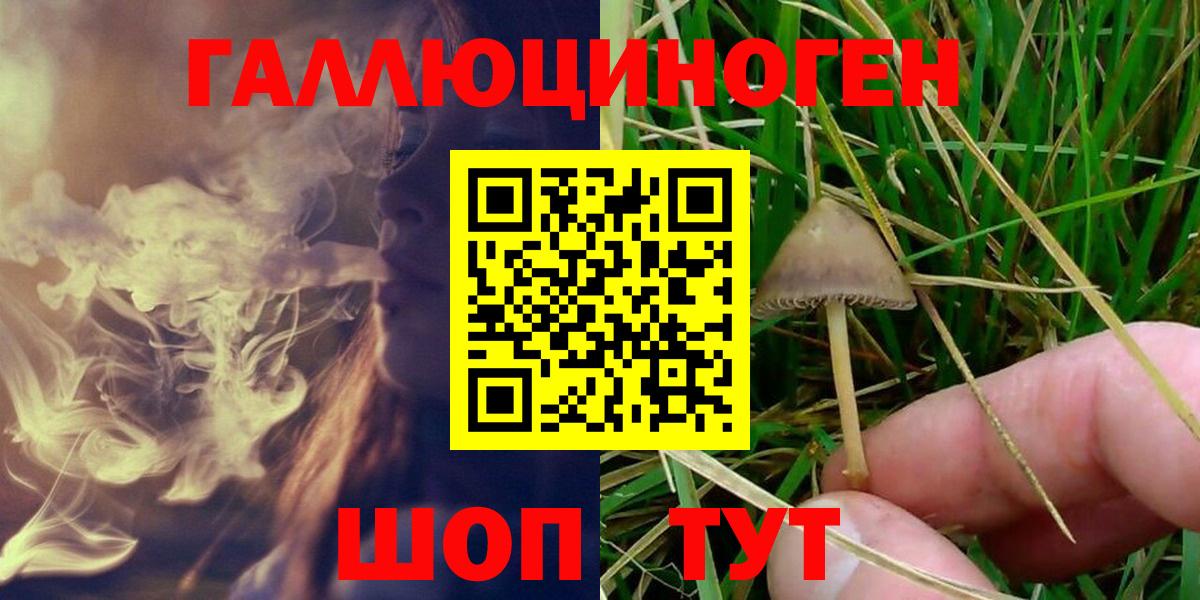Псилоцибиновые грибы GOLDEN TEACHER  Псилоцибиновые грибы мухоморы  Вход с VPN  Карталы 
